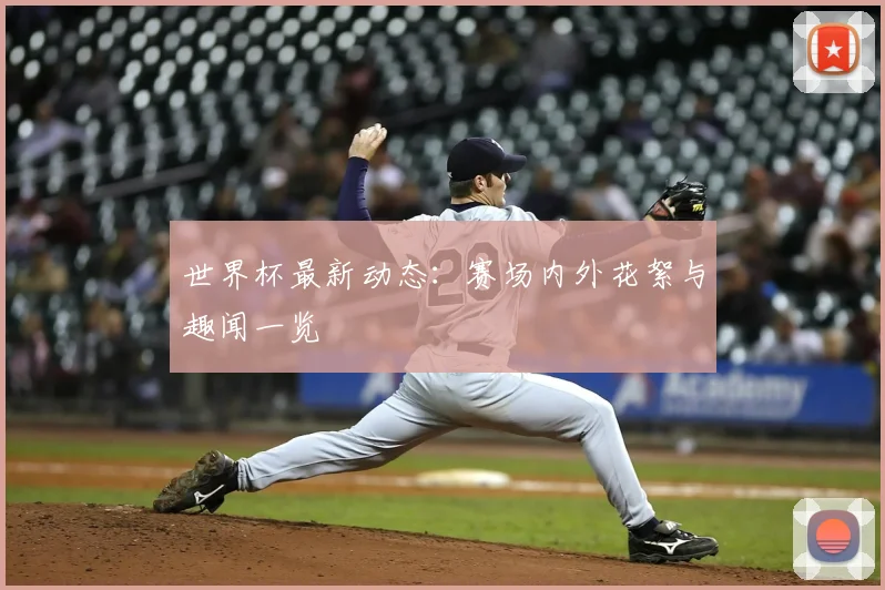 世界杯最新动态:赛场内外花絮与趣闻一览